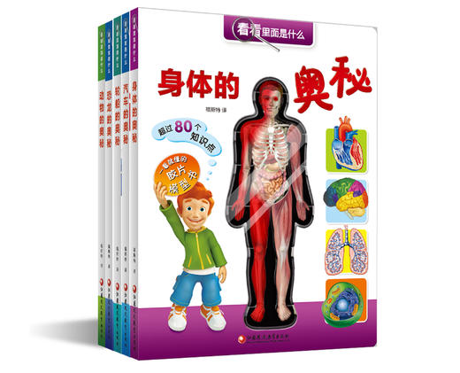 看看里面是什么：恐龙的奥秘 商品图4