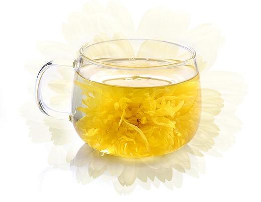 金丝皇菊 一朵一杯 20朵 套装 商品图1