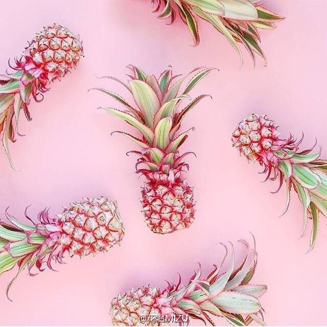 pink pink pinapple 荷兰粉菠萝(提前1天预定)