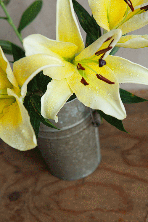 9元百合花束加量不加价