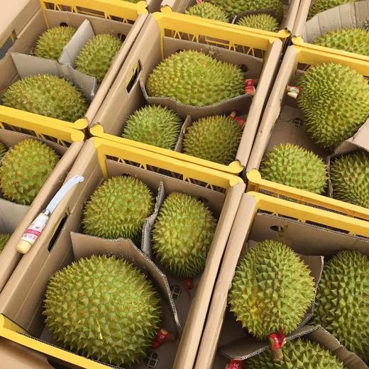 「水果优选」干尧榴莲 商品图1
