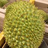 「水果优选」干尧榴莲 商品缩略图0