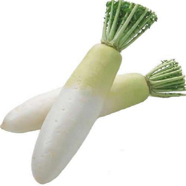 白萝卜
