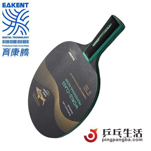 EAKENT育康腾  黑鲨专业九层纯木隐形纳米碳素底板 商品图2