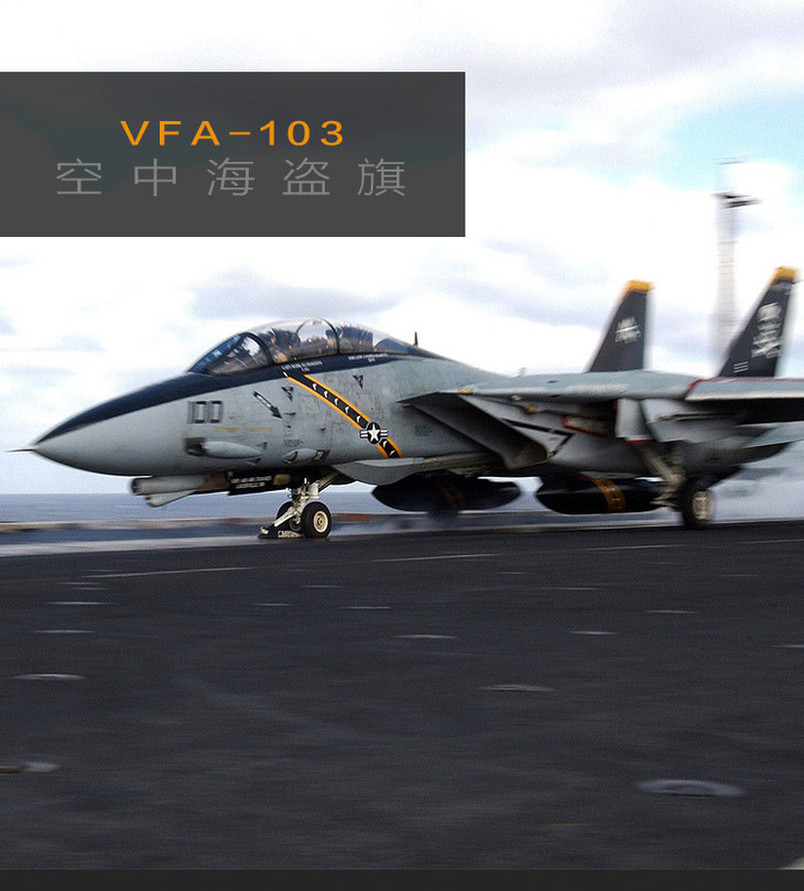 【加绒保暖情怀有型】军武设计vfa-103海盗旗中队印象卫衣