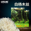 命脉 白杨木丝 爬宠垫材除臭保湿仓鼠龙猫蜥蜴蛇类爬虫垫材【LIFELINE命脉官方正版】-分销 商品缩略图2