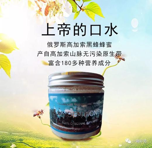 【赠品】[俄罗斯黑蜂椴树雪蜜] 高寒2500米原始椴树林，一年只收一次，波美 度43【如团购可送礼盒】 商品图0