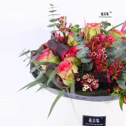 朱蕉与梦露 商品图1