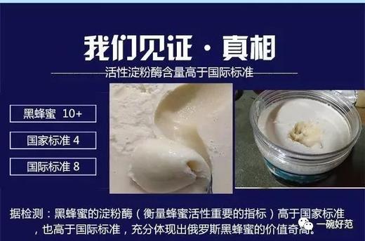 【赠品】[俄罗斯黑蜂椴树雪蜜] 高寒2500米原始椴树林，一年只收一次，波美 度43【如团购可送礼盒】 商品图6