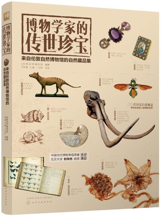 博物学家的传世珍宝 商品图0