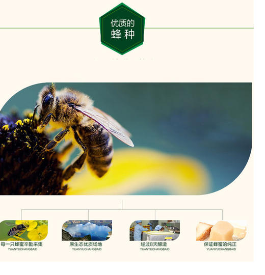 【赠品】[俄罗斯黑蜂椴树雪蜜] 高寒2500米原始椴树林，一年只收一次，波美 度43【如团购可送礼盒】 商品图8