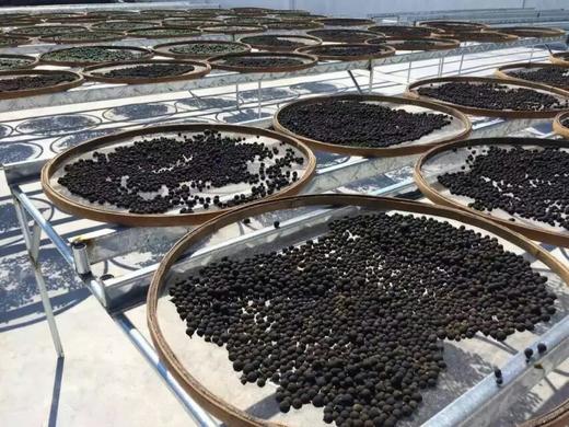 小柑胎茶 小柑胎果茶 商品图4