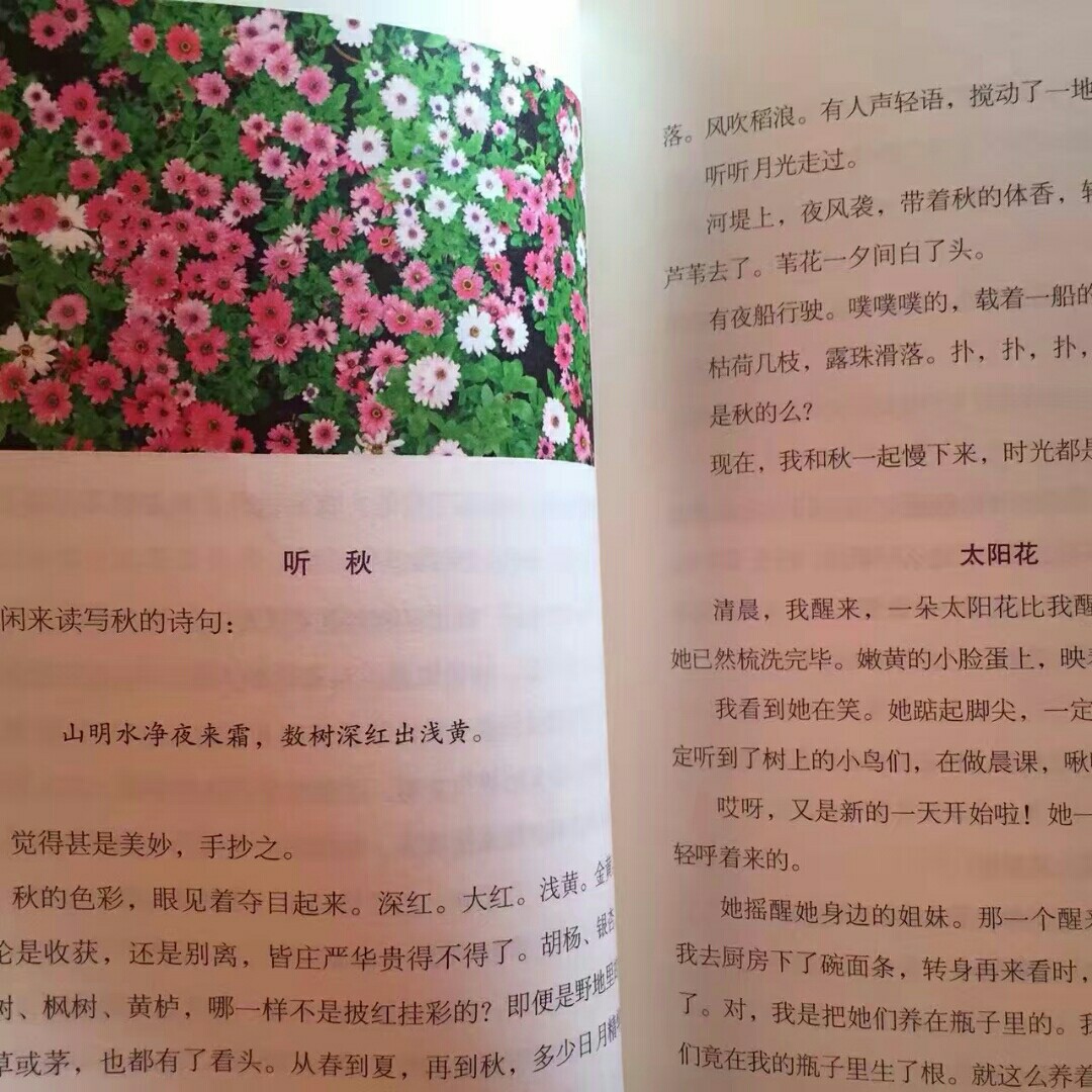 丁立梅 《让每个日子都看见欢喜》