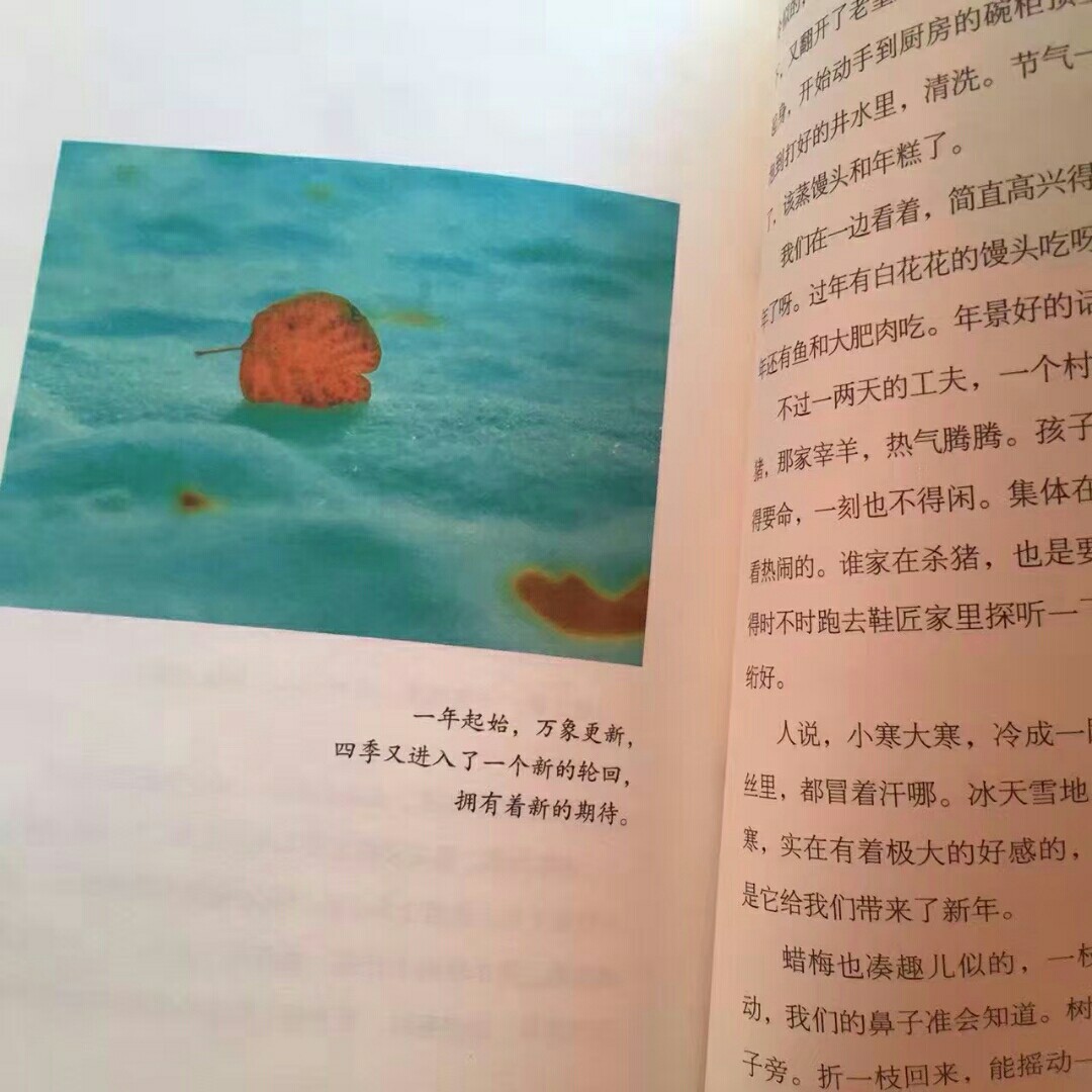 丁立梅 《让每个日子都看见欢喜》