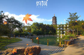 【妈网秋游】张家港香山亲子游；11/26 千灯 看枫叶，领略香山十八景 钓鱼台、采香径、桃花涧、梅花堂、洗砚池、石虎门、圣过潭、观音殿、荷花茶厅、圆寂塔、听松吟、圣清池、毗陵井、巫门夜雨、天台石、