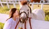 【锦江区】马术新体验！99元体验嘉御马会马术！感受专业骑乘的魅力，使用期到明年！ 商品缩略图0