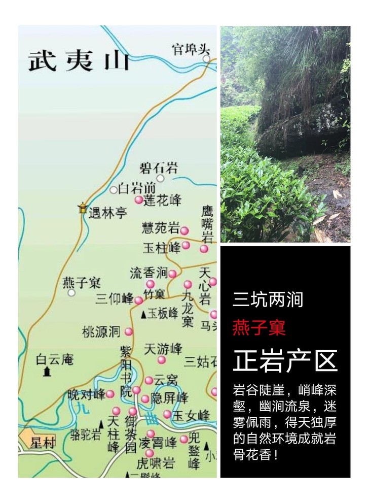 产品信息: 品名 正岩肉桂 产地 福建省武夷山市 配料 燕子窠果香肉桂