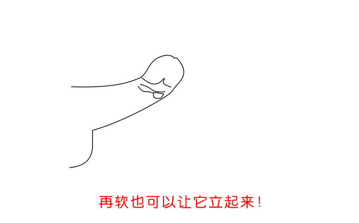 阴茎支架002.gif
