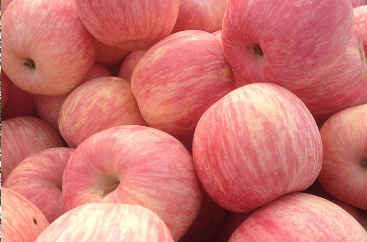 良品甄选| 山东条纹红富士苹果 9个(约4.5斤) 单果 80图片
