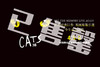 【早鸟票售罄】世界经典原版音乐剧《猫》Cats 深圳站 商品缩略图0