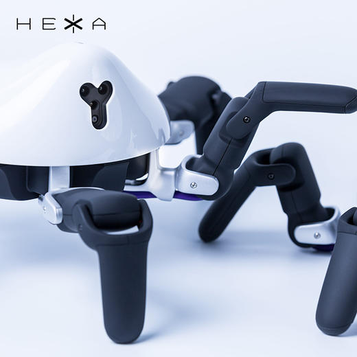 HEXA 六爪全地形可编程机器人 商品图5