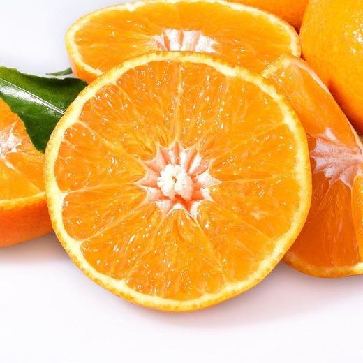 爱媛果冻橘橙2.5kg/5kg 商品图0