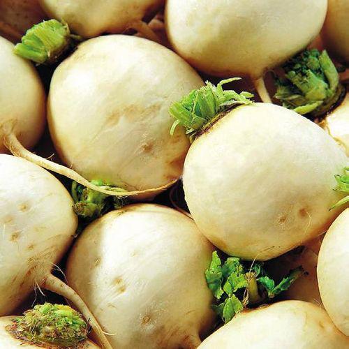 樱桃萝卜（白）500g/份 商品图1