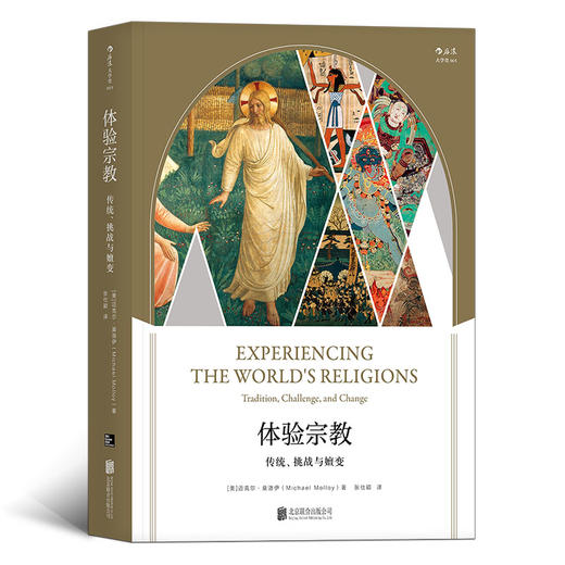 体验宗教    传统、挑战与嬗变 商品图0