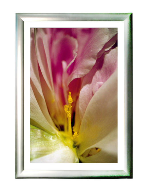 “花之灵·性”  The Eros of Flowers    限量9 商品图0