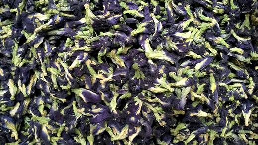 蓝蝴花草茶蓝蝴蝶茶 商品图0