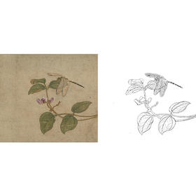 宋画草虫小品白描底稿-任仁发（传）-《大豆图》-斗方小品册页-多种白描尺寸可选-GR14