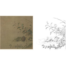宋画动物小品白描底稿-佚名-《蓼龟图》-斗方小品册页-多种白描尺寸可选-GR12