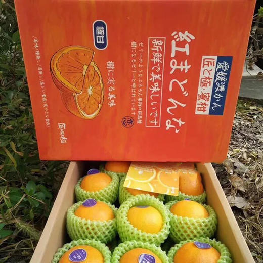 爱媛38号橙 商品图3