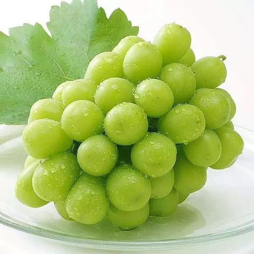 晴王葡萄 商品图2