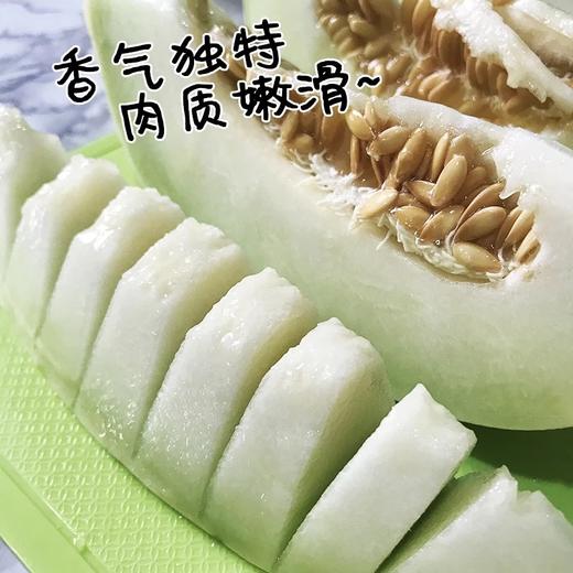 （永久下架）月露蜜瓜 商品图1