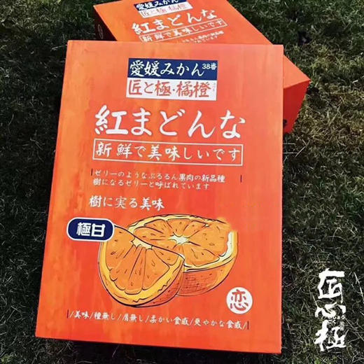 爱媛38号橙 商品图0