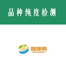 品种纯度分子检测