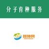 DH生产技术服务 商品缩略图0