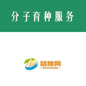 DH生产技术服务