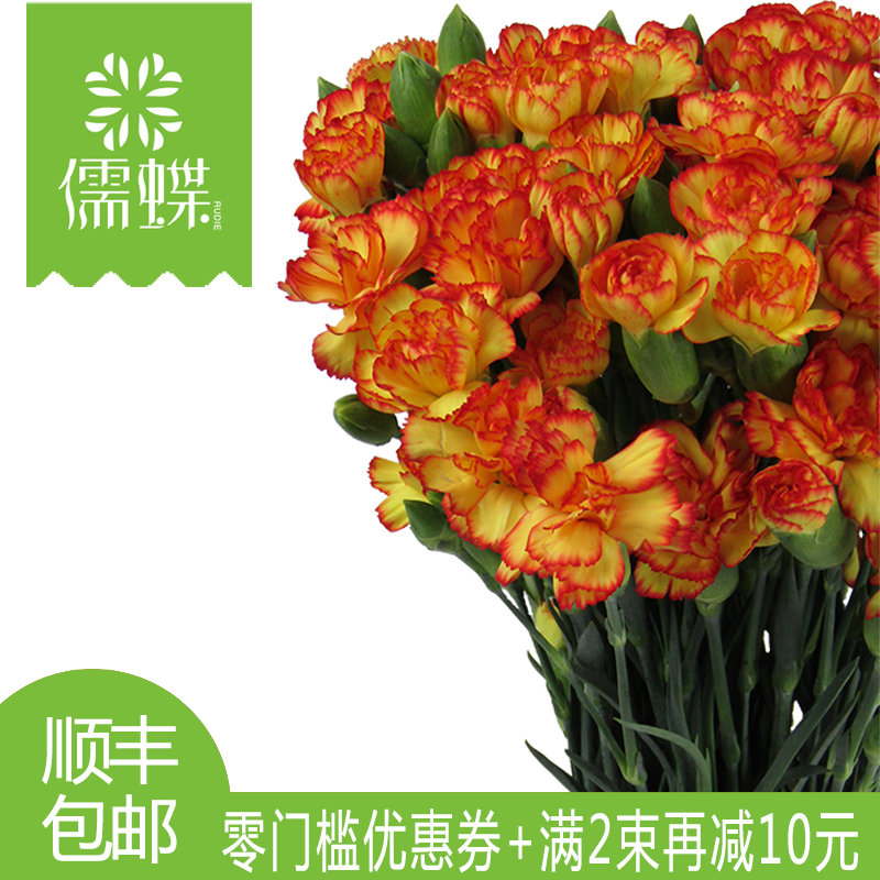 全国鲜花速递 客厅鲜花预定家庭鲜花 橙色康乃馨鲜花