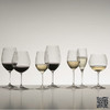 奥地利RIEDEL Vinum Cuvée Prestige 宫廷系列 香槟杯 无铅水晶杯 德国进口 2支装 商品缩略图4