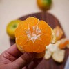 涌泉蜜橘2.5kg/5kg 商品缩略图1