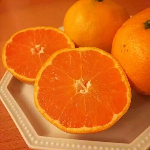 涌泉蜜橘2.5kg/5kg 商品图0