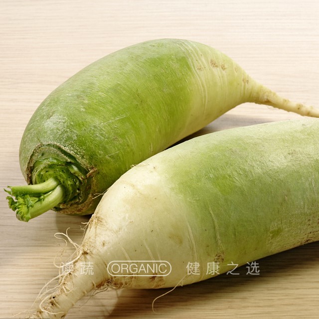 小青萝卜(500g)