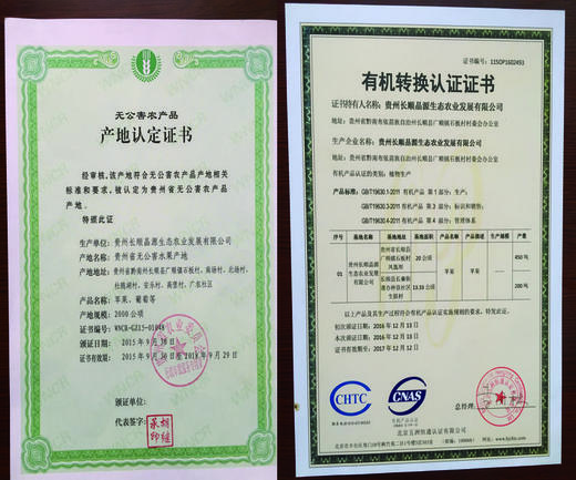 苹果中的贵族【长顺晶源·高钙苹果】7.5斤装  贵州省内包邮  无公害种植 有机苹果 不打蜡2种规格任选 商品图4