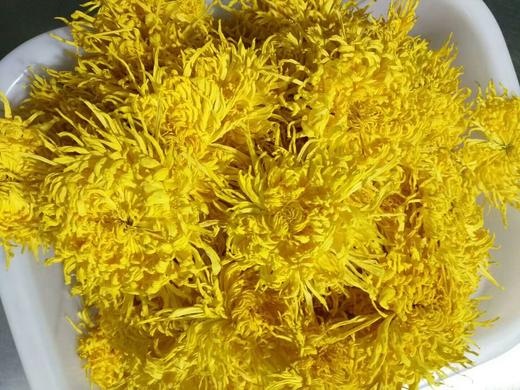金丝皇菊散装金丝皇菊菊花茶 商品图2