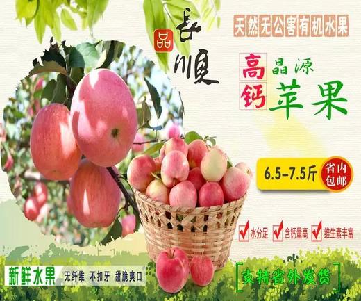 苹果中的贵族【长顺晶源·高钙苹果】7.5斤装  贵州省内包邮  无公害种植 有机苹果 不打蜡2种规格任选 商品图0