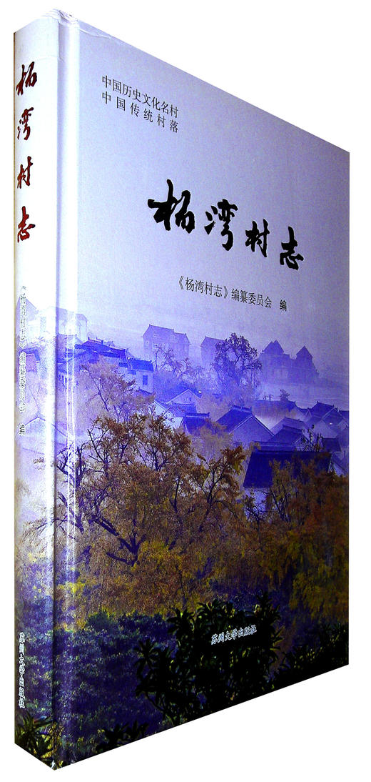 杨湾村志 商品图0