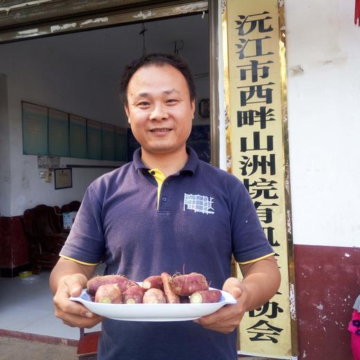 合作生产 | 有机板粟红薯（产地发货） 商品图2