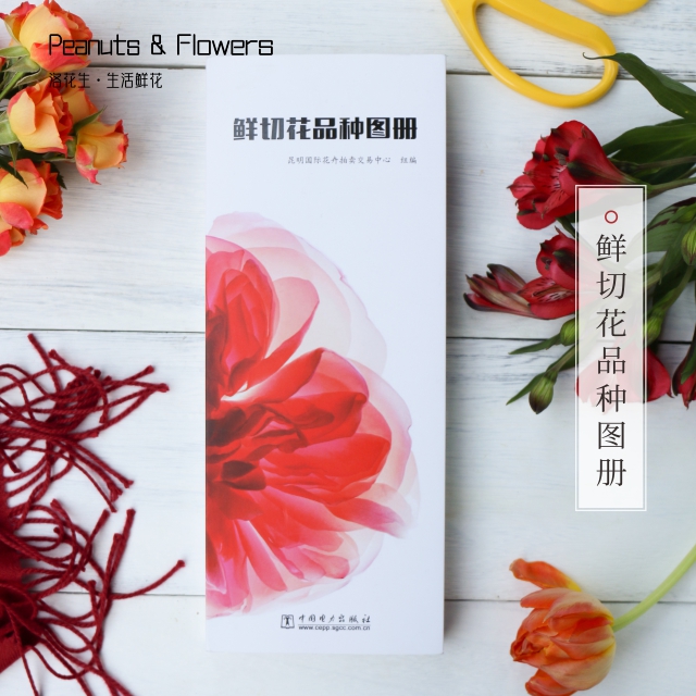 鲜切花品种图册